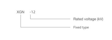 Type-description-XGN-12